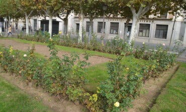 Alcalá de Henares inicia esta semana excavaciones arqueológicas en la Plaza de Cervantes