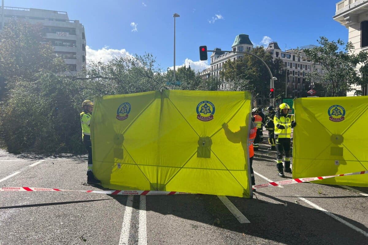 Muere una joven de 23 años al caerle encima un árbol en Madrid