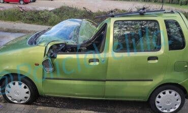 La caída de un árbol destroza un coche en Velilla de San Antonio