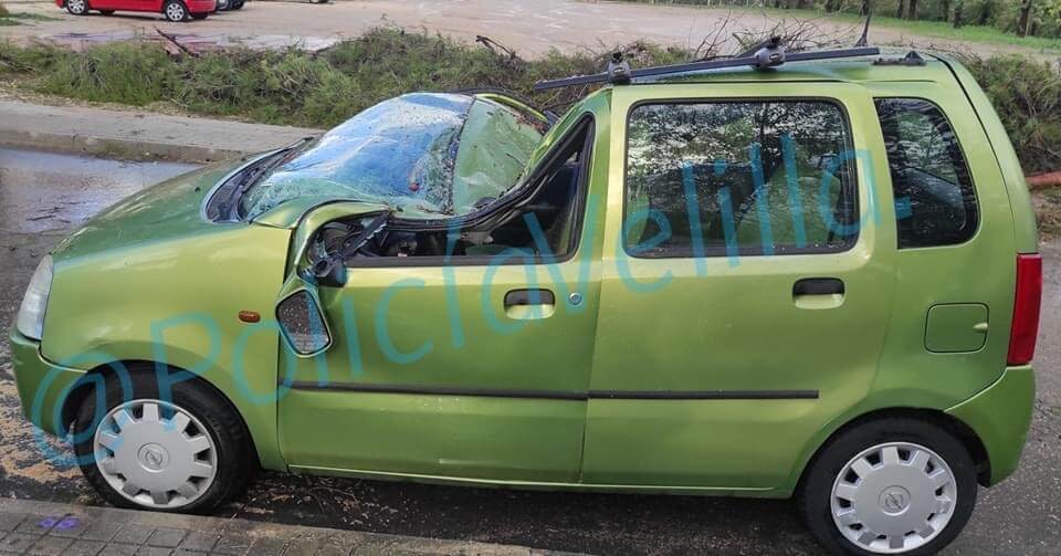 La caída de un árbol destroza un coche en Velilla de San Antonio