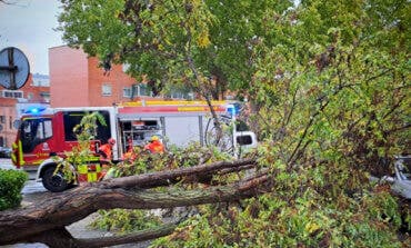 Las fuertes rachas de viento provocan más de 40 incidencias en la provincia de Guadalajara