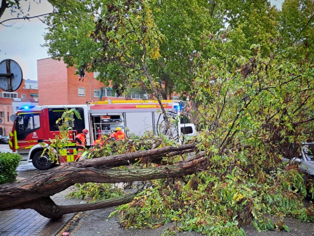 Las fuertes rachas de viento provocan más de 40 incidencias en la provincia de Guadalajara