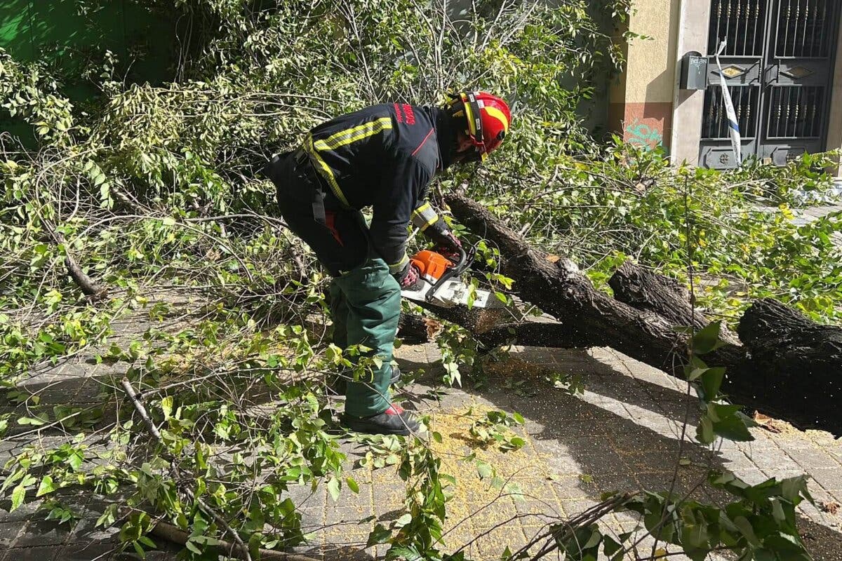 Aviso amarillo por viento este sábado en la Comunidad de Madrid y Guadalajara