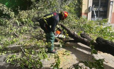 Aviso amarillo por viento este sábado en la Comunidad de Madrid y Guadalajara