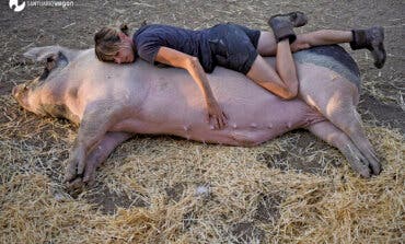 Rivas acoge este sábado el primer festival vegano del sureste de Madrid