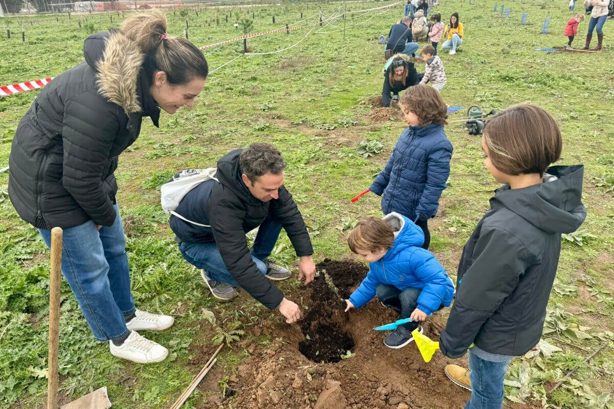 Plantación familiar de más de 400 árboles en la finca de Castillejos en Guadalajara