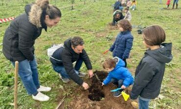Plantación familiar de más de 400 árboles en la finca de Castillejos en Guadalajara
