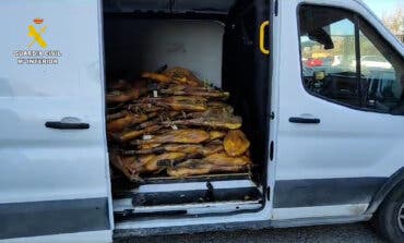 Dos detenidos en Getafe por robar más de 700 piezas de ibéricos valoradas en 200.000 euros