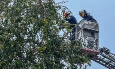 Aviso amarillo este miércoles por fuertes rachas de viento en la Comunidad de Madrid