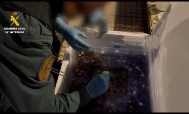 Detenido en Guadalajara cuando transportaba 170 kilos de angulas vivas por la A-2