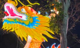 Dragones, dinosaurios, insectos... brillan estas Navidades en Torrejón de Ardoz 