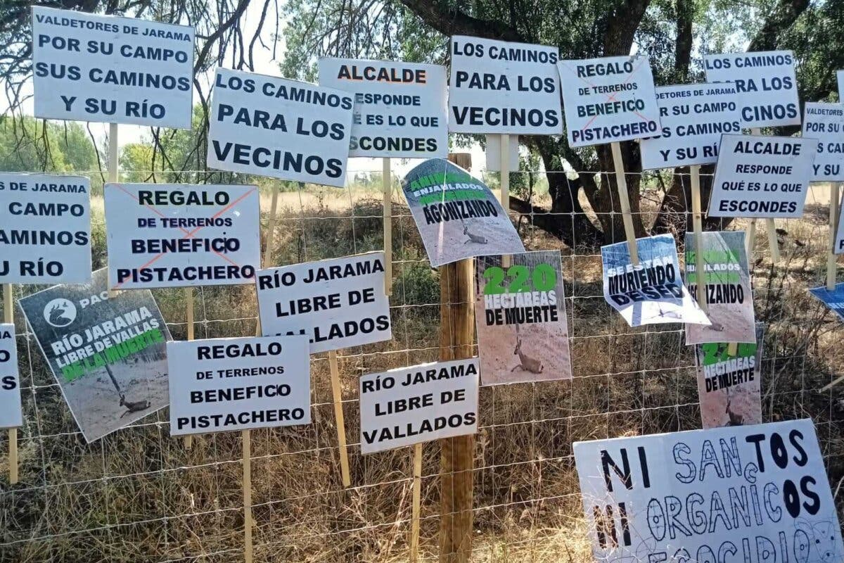 Ecologistas contra una pistachera en Valdetorres de Jarama: «Arrasará 56 hectáreas de bosque y monte de gran valor»