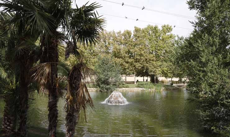 Un joven denuncia que fue violado por ocho hombres en un parque de Madrid en Año Nuevo 