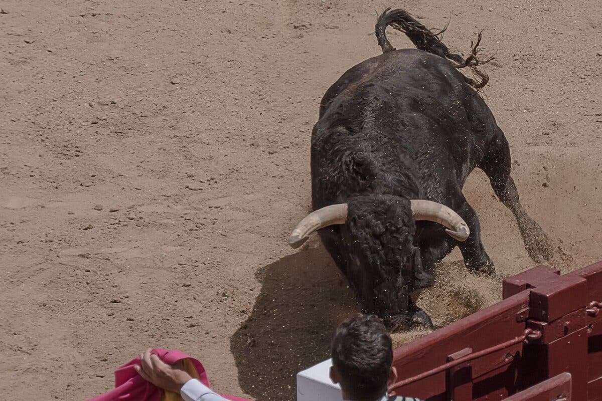 Denuncian que se ofrezcan entradas gratis a niños para una novillada en Ajalvir