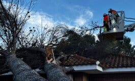 El viento tumba un árbol de grandes dimensiones que cae sobre una vivienda en Villalbilla