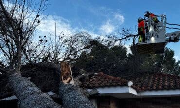 El viento tumba un árbol de grandes dimensiones que cae sobre una vivienda en Villalbilla