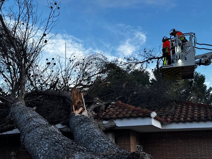 El viento tumba un árbol de grandes dimensiones que cae sobre una vivienda en Villalbilla