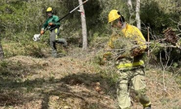 Limpian más de quince hectáreas de la Dehesa El Carrascal de Arganda para prevenir incendios 