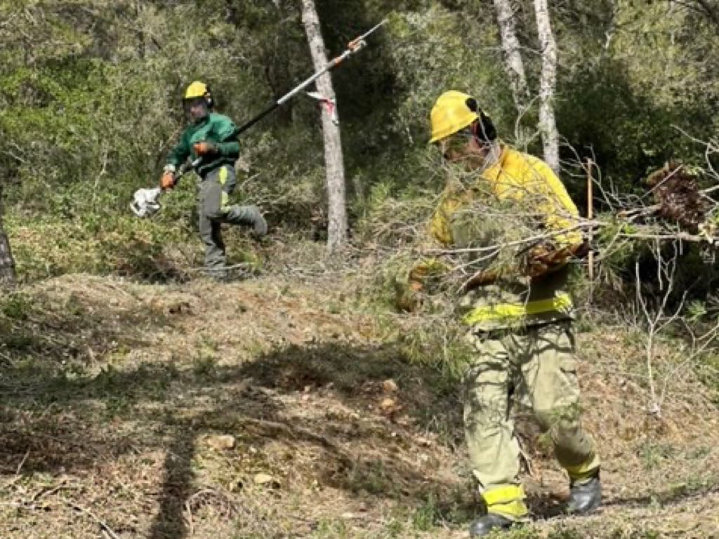 Limpian más de quince hectáreas de la Dehesa El Carrascal de Arganda para prevenir incendios 