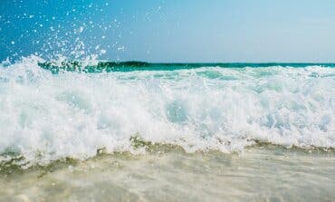 Cruceros, playas, China... Ayuso lanza nuevos viajes para mayores de 55 años desde 250 euros 