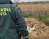Investigado un ganadero de Guadalajara tras hallar numerosos animales muertos por falta de cuidado en su finca de Uceda