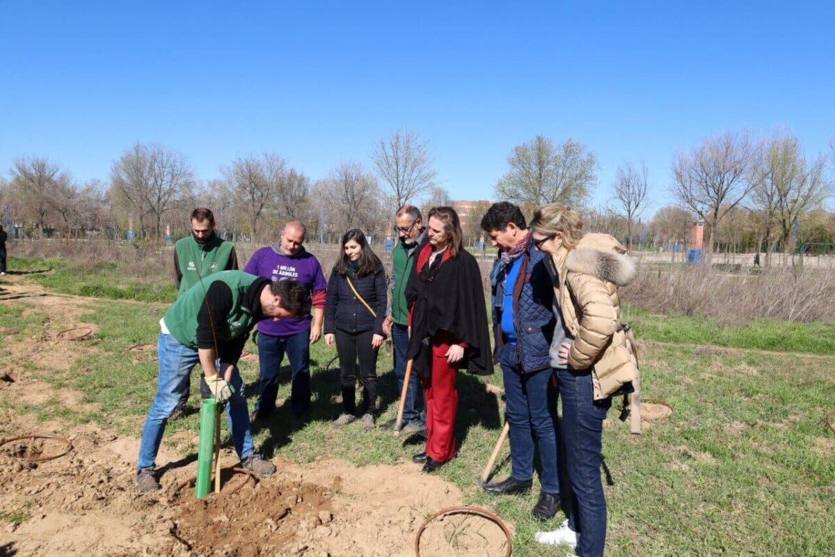 Nueva plantación de 400 árboles en el Bosque Comestible de Alcalá de Henares