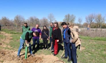 Nueva plantación de 400 árboles en el Bosque Comestible de Alcalá de Henares