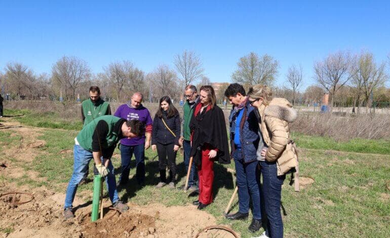 Nueva plantación de 400 árboles en el Bosque Comestible de Alcalá de Henares