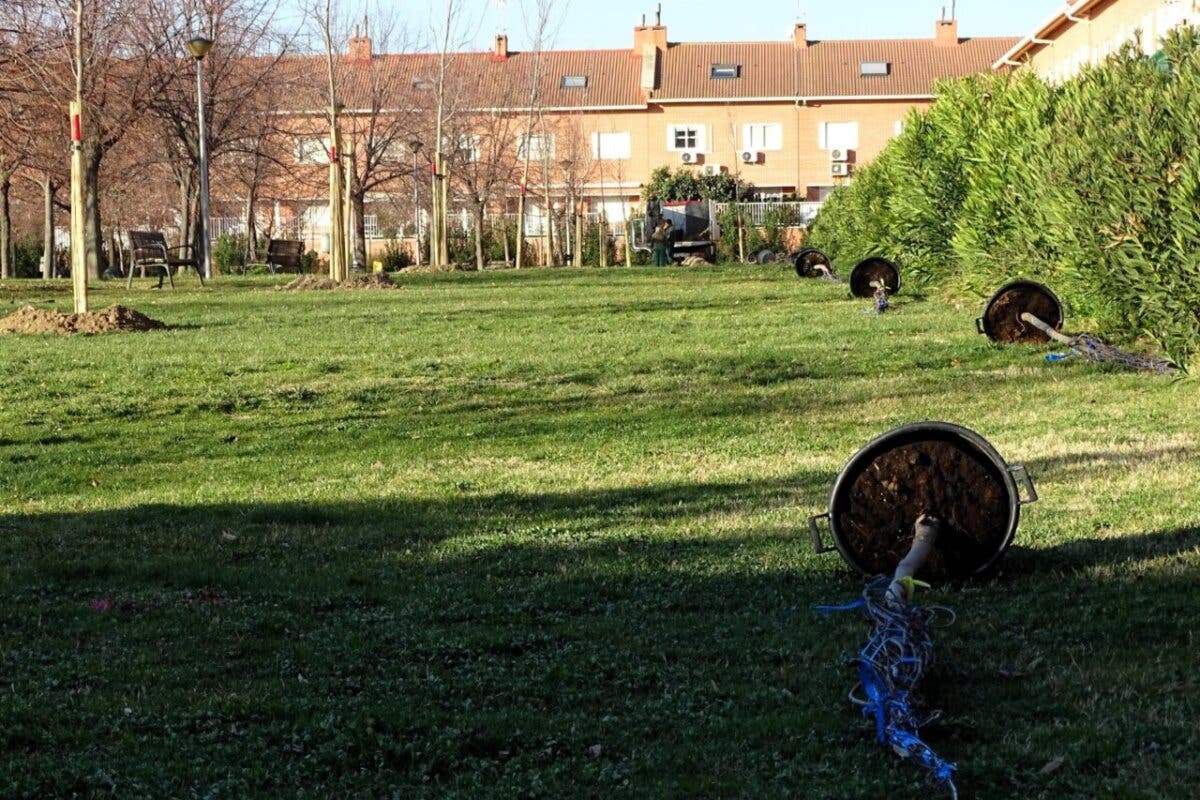Alcalá de Henares suma 112 nuevos árboles a los más de 60.000 que tiene la ciudad 
