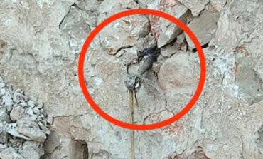 Desactivan en Guadalajara una granada de la Guerra Civil incrustada en el muro de una casa 