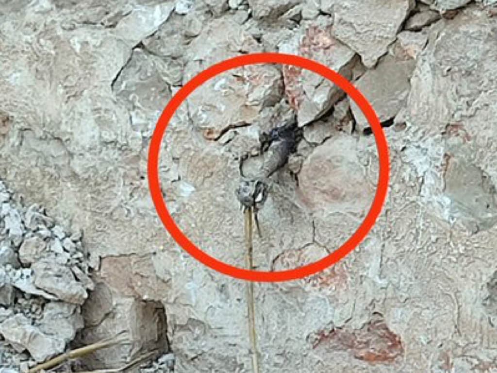 Desactivan en Guadalajara una granada de la Guerra Civil incrustada en el muro de una casa 