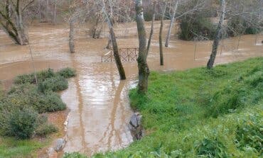 El río Henares se desborda en algunos puntos a su paso por Guadalajara