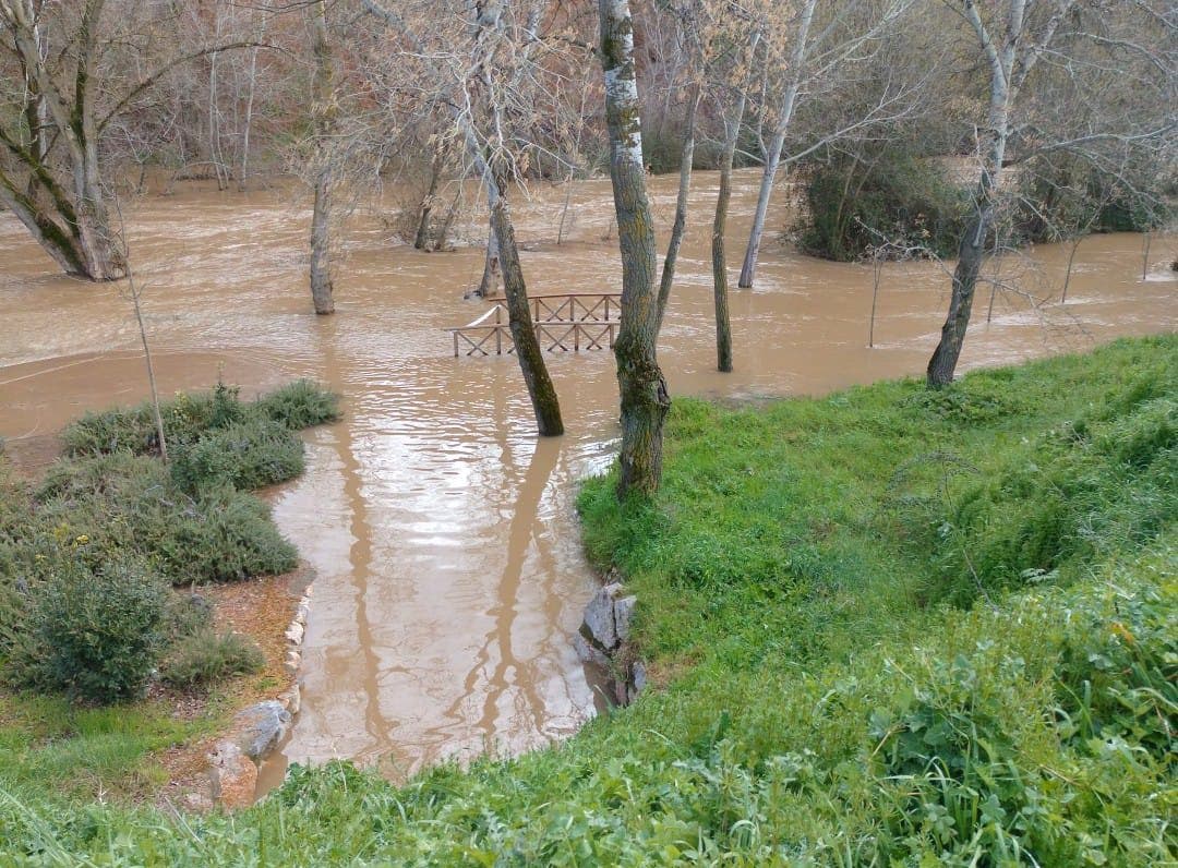 El río Henares se desborda en algunos puntos a su paso por Guadalajara