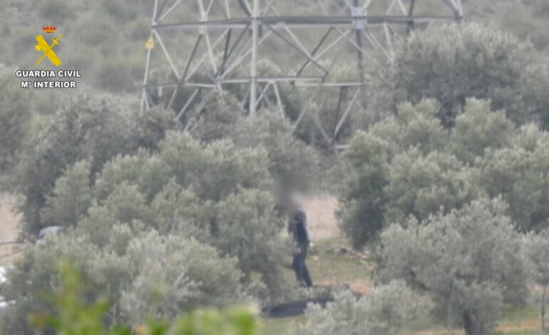 Torres de la Alameda, Morata, Guadalajara… Seis detenidos por robar 15 toneladas de aceituna