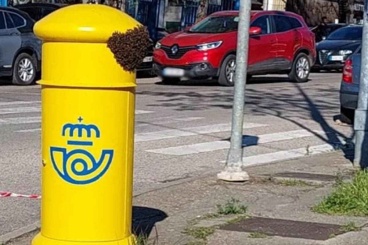 Los Bomberos retiran un enjambre de abejas pegado a un buzón de Correos en Mejorada del Campo