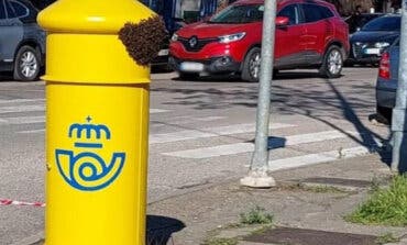 Los Bomberos retiran un enjambre de abejas pegado a un buzón de Correos en Mejorada del Campo