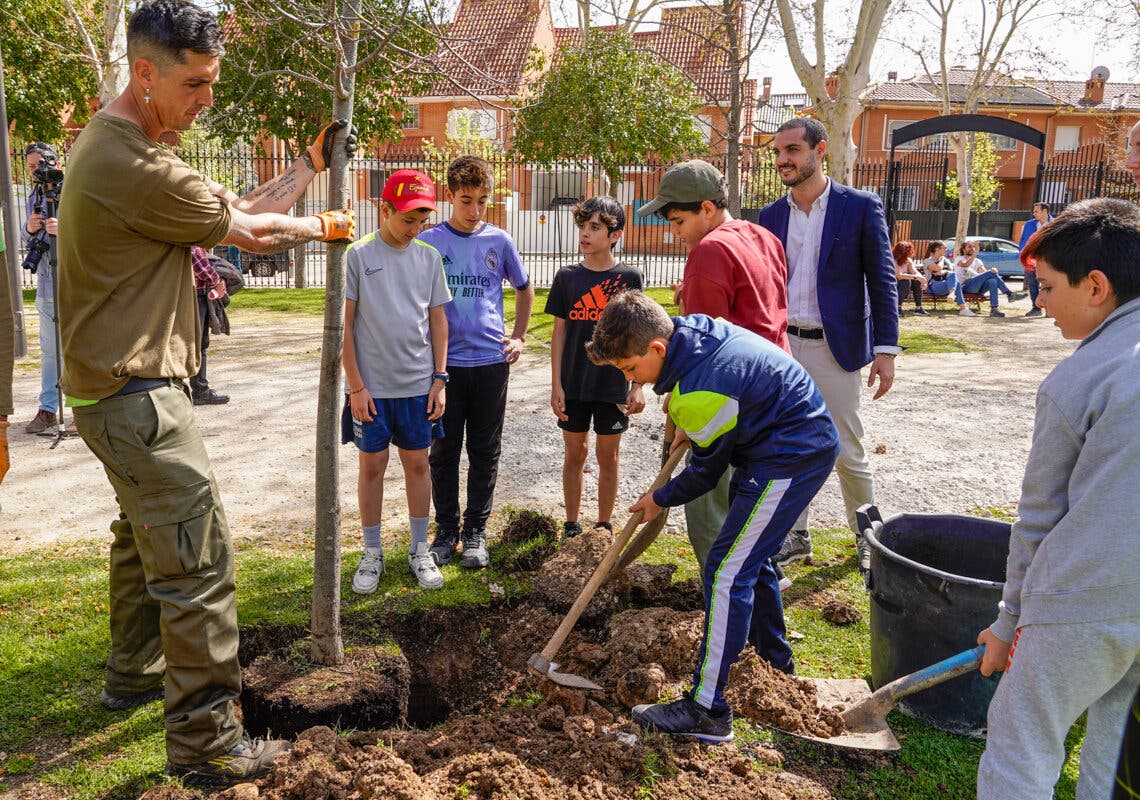 Casi 700 escolares de Torrejón plantan 150 árboles en el Día del Árbol: objetivo 10.000 en cuatro años