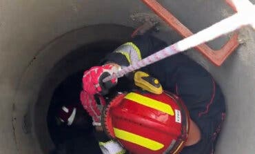 Los Bomberos rescatan a un pastor alemán que cayó a un pozo de cuatro metros de profundidad en Leganés