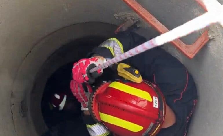 Los Bomberos rescatan a un pastor alemán que cayó a un pozo de cuatro metros de profundidad en Leganés