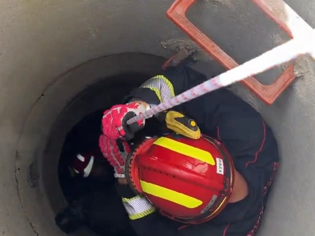 Los Bomberos rescatan a un pastor alemán que cayó a un pozo de cuatro metros de profundidad en Leganés