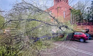 Guadalajara continúa en aviso amarillo por el viento, que ayer tumbó un árbol causando daños en varios vehículos