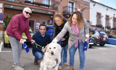 Entra en vigor la nueva ordenanza de animales de Campo Real que prohíbe a los perros ladrar por la noche 