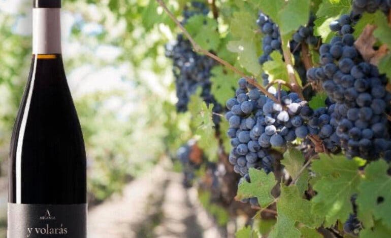 Un vino de Arganda del Rey, distinguido como uno de los mejores de España 