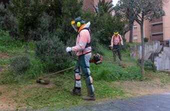 Guadalajara adjudica un nuevo contrato de zonas verdes por más de 17 millones de euros