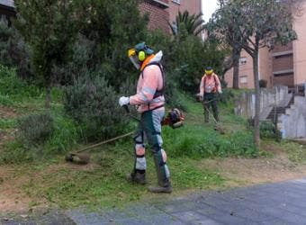 Guadalajara adjudica un nuevo contrato de zonas verdes por más de 17 millones de euros