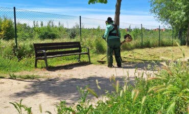 Alcalá de Henares lleva a cabo el desbroce de parcelas y alcorques para prevenir incendios