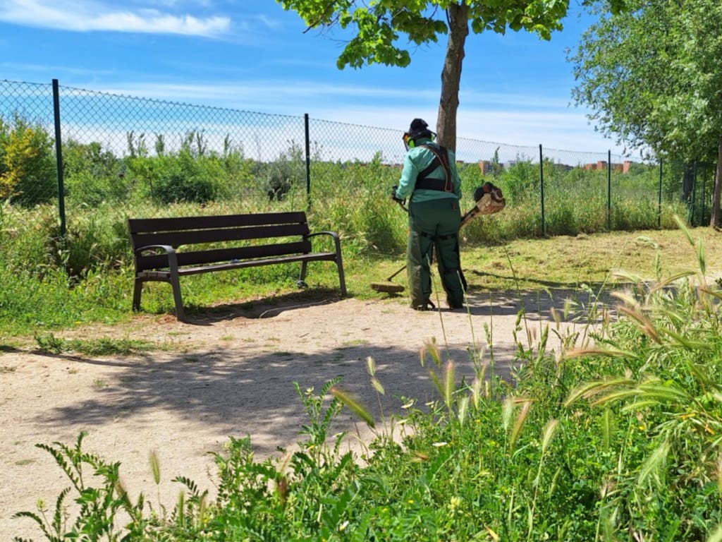 Alcalá de Henares lleva a cabo el desbroce de parcelas y alcorques para prevenir incendios