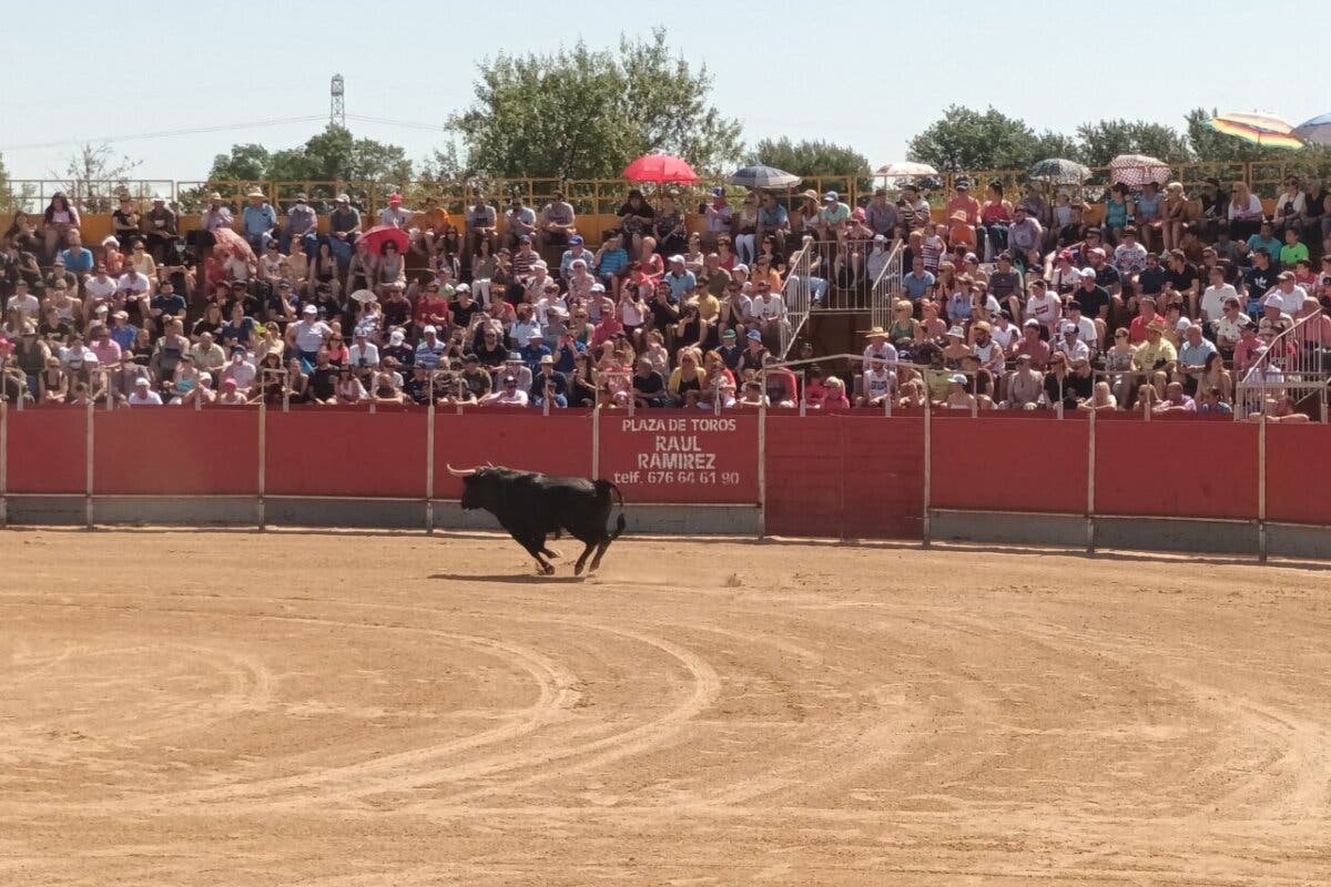 Este fin de semana vuelven los toros a San Fernando de Henares con encierros y recortes