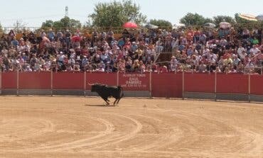 Este fin de semana vuelven los toros a San Fernando de Henares con encierros y recortes