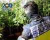 Detenidos por cultivar y vender marihuana en dos pisos okupados en Alcalá de Henares